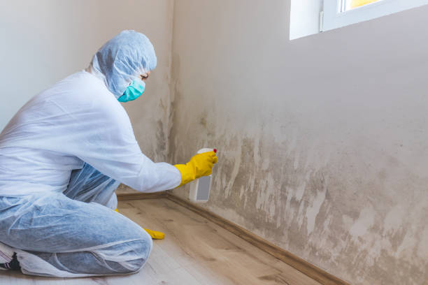 Crawl Space Mold Remediation treatment of floor joists in Dorchester